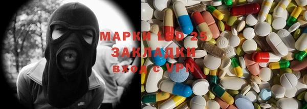 ECSTASY Алзамай