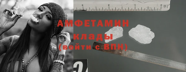 ECSTASY Алзамай