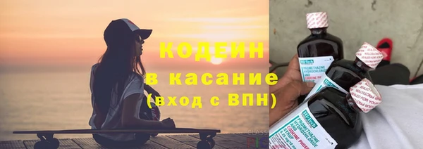 ECSTASY Алзамай