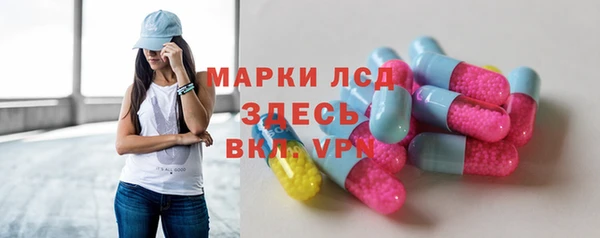 ECSTASY Алзамай