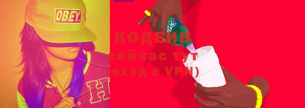 ECSTASY Алзамай