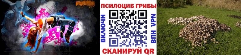 гидра как войти Гурьевск Галлюциногенные грибы мухоморы как найти закладки